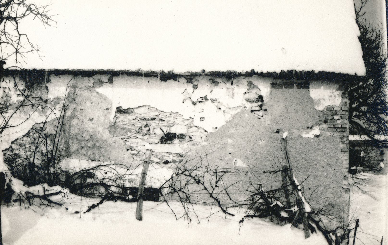 eika image